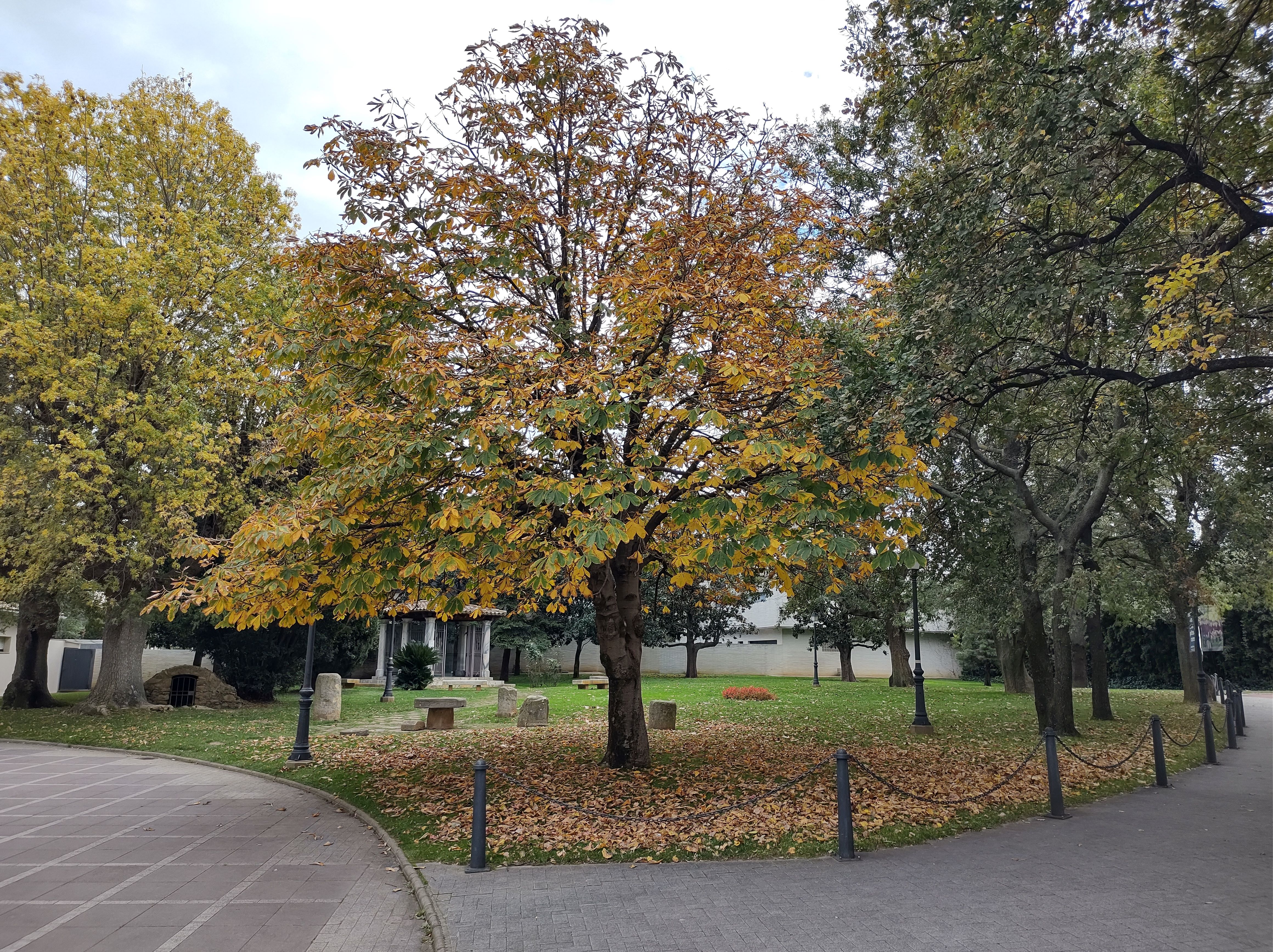 No s'ha trobat l'arxiu